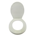 Capac wc plastic