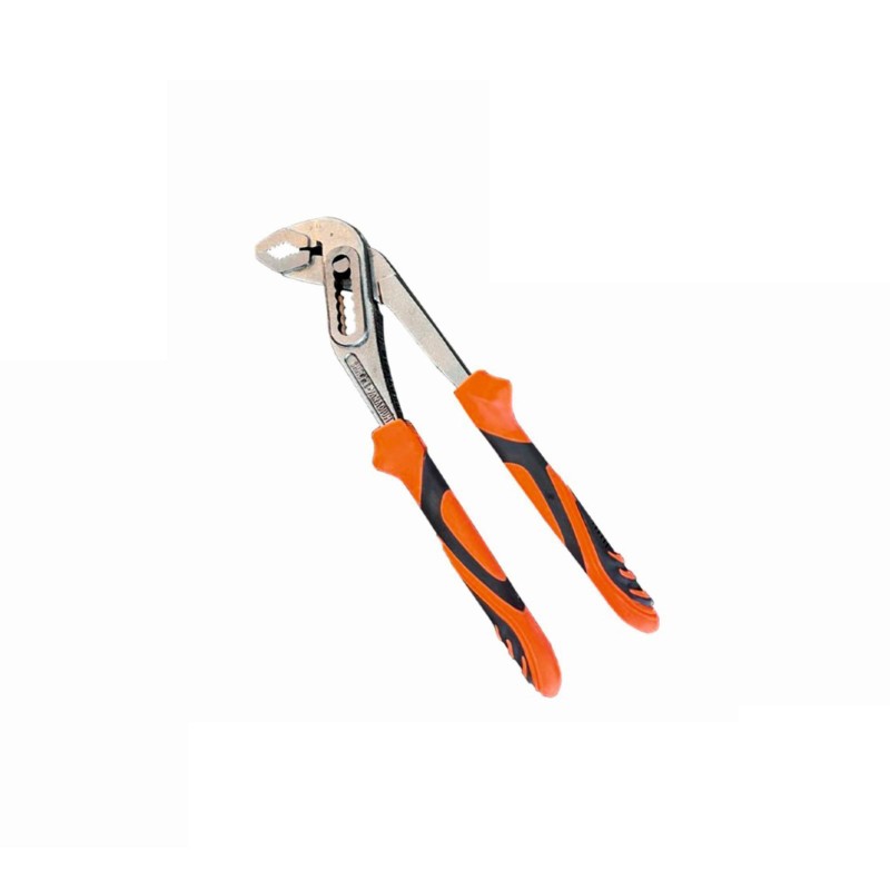 Cleste papagal nr. 10