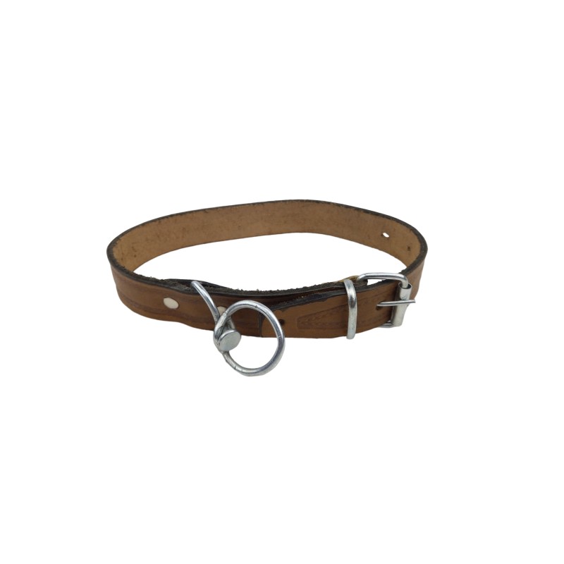 Curea caine piele 50cm