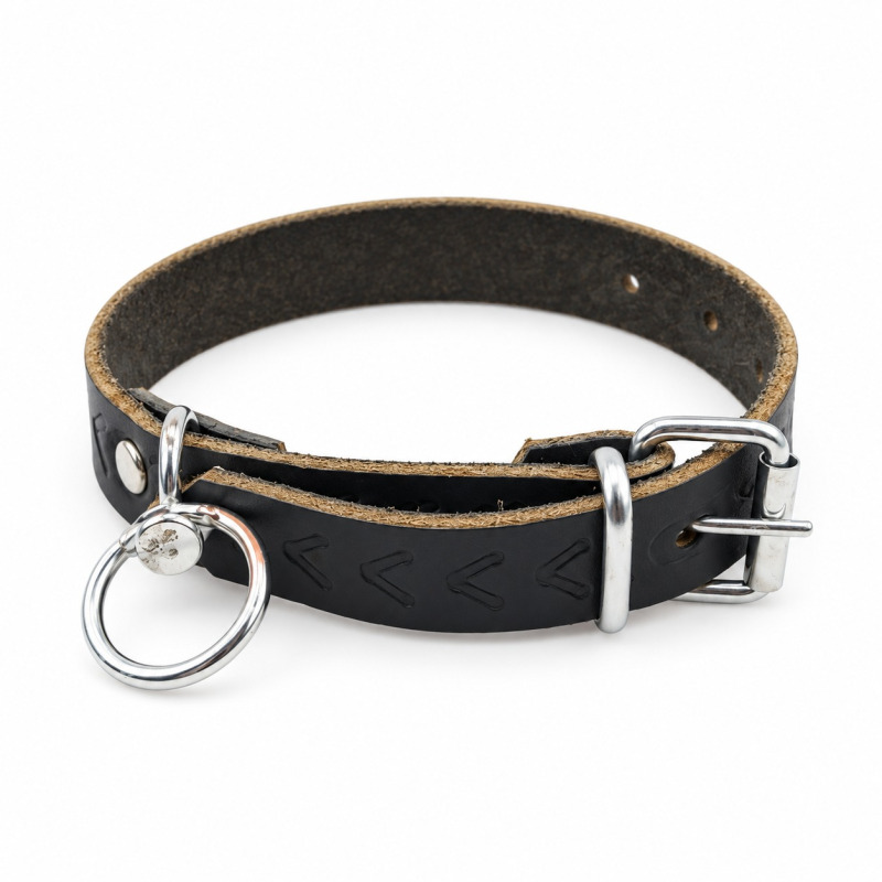Curea simpla de piele pentru caine, 2.5x55 cm (160-L508)