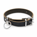 Curea simpla de piele pentru caine, 2.5x55 cm (160-L508)