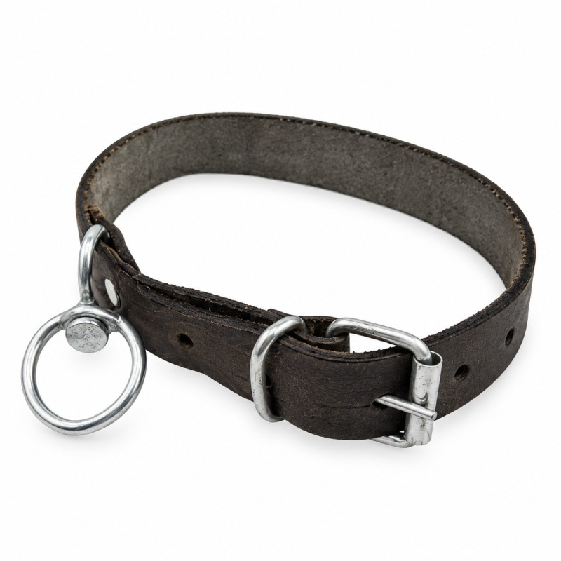 Curea simpla de piele pentru caine, 3x65 cm (170-L509)