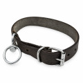 Curea simpla de piele pentru caine, 3x65 cm (170-L509)