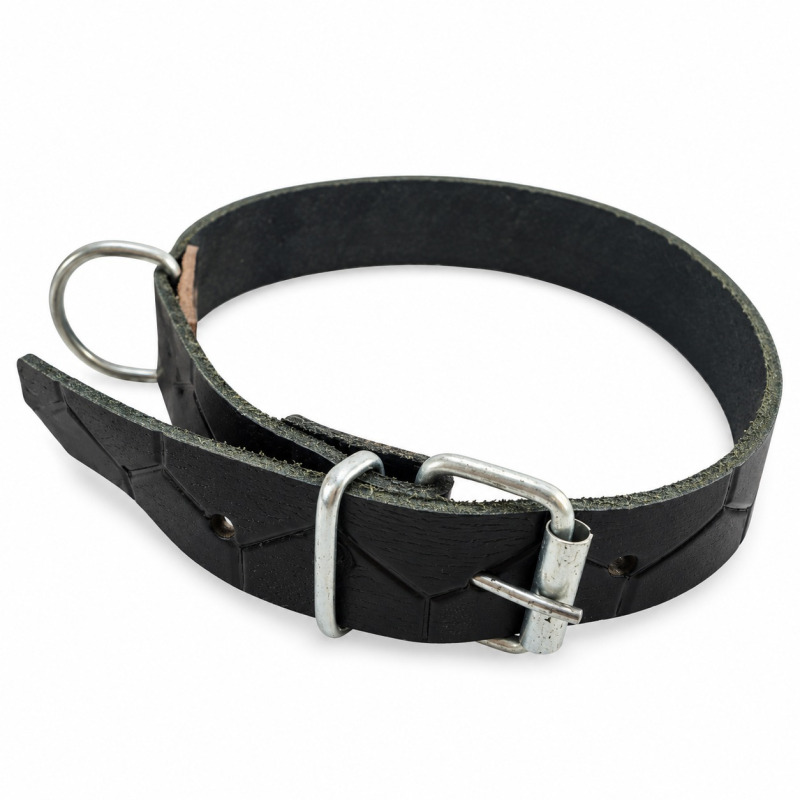 Curea de piele groasa pentru caine 2.5x60 cm, (410)
