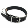 Curea de piele groasa pentru caine 2.5x60 cm, (410)