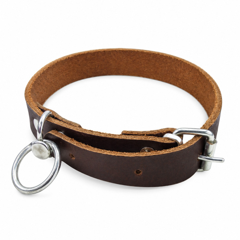 Curea simpla de piele pentru caine, 60 cm
