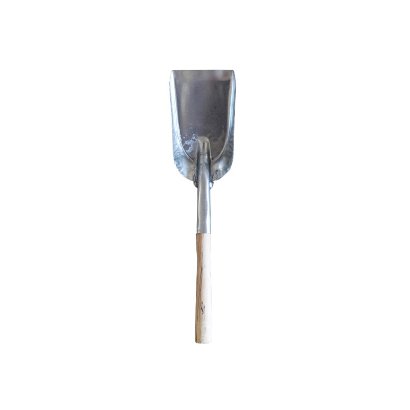 Lopata cenusa mica