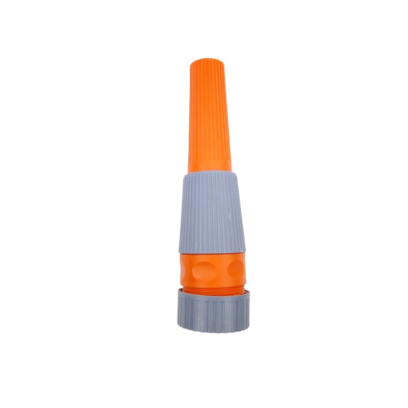 Morcov stropit 1'