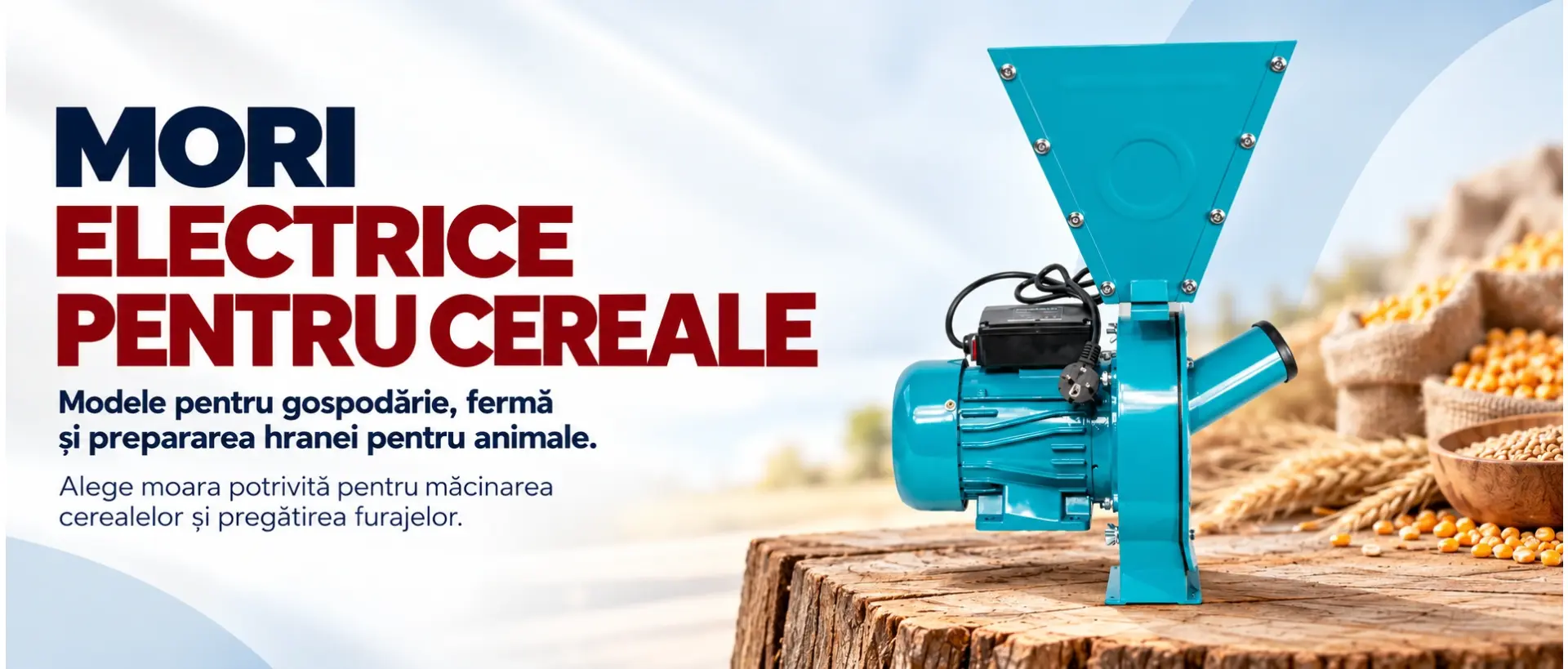  Mori electrice